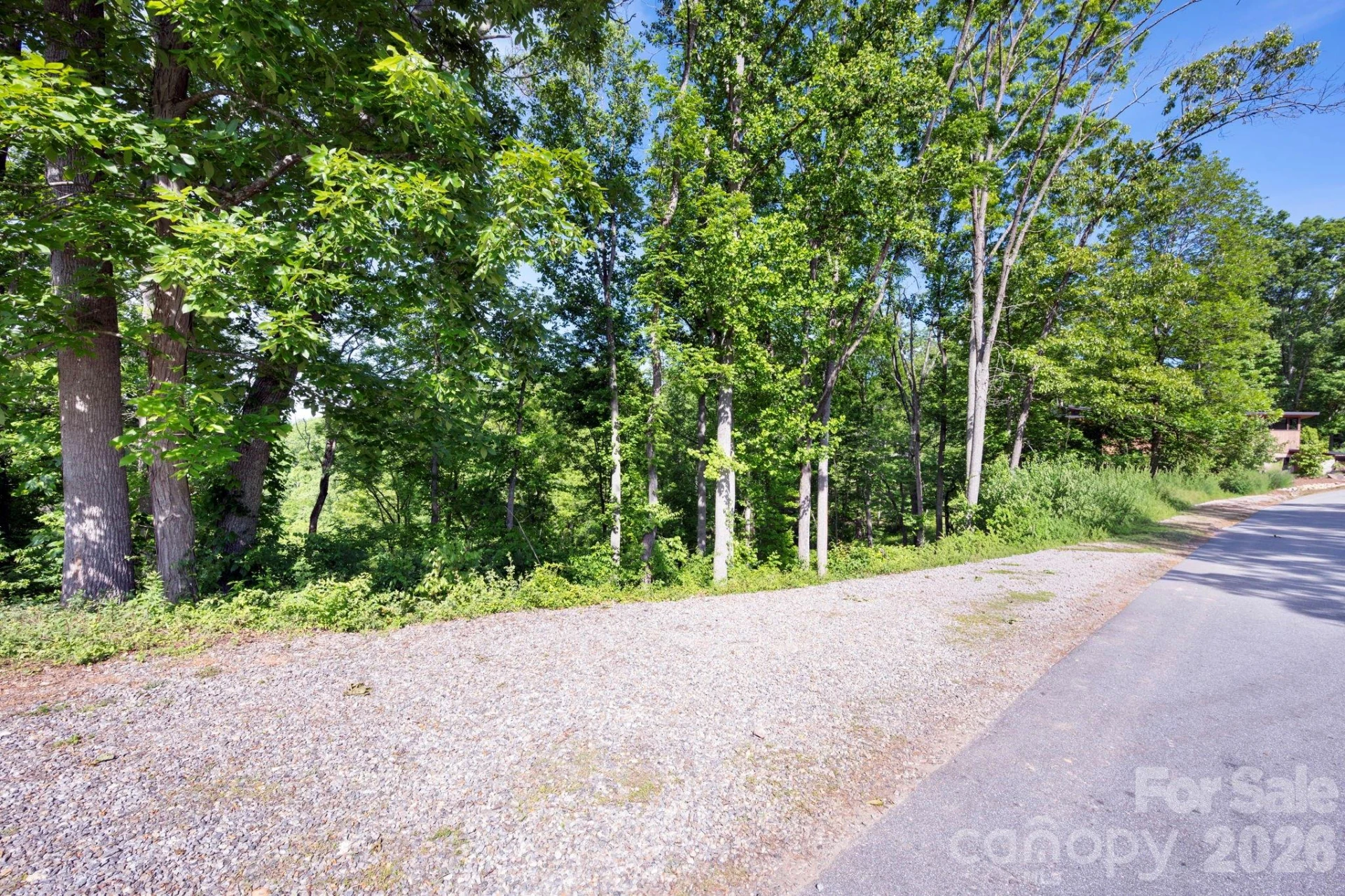 17 Tulip Poplar Trail #30 - Photo 9