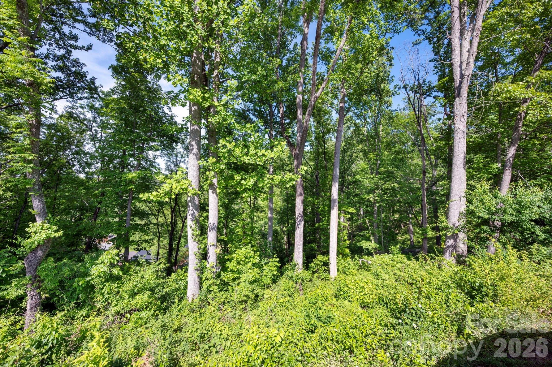 17 Tulip Poplar Trail #30 - Photo 10