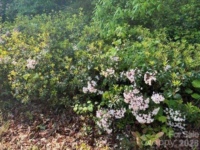 000 Gettys Road - Photo 3