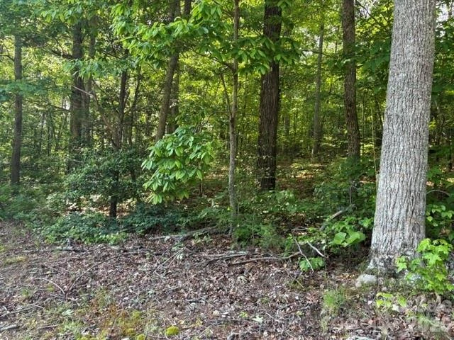000 Gettys Road - Photo 4