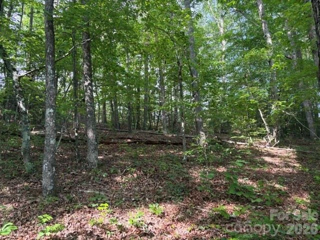 000 Gettys Road - Photo 5