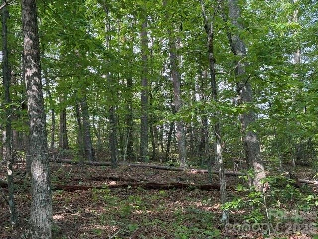 000 Gettys Road - Photo 6