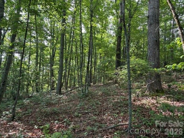 000 Gettys Road - Photo 7