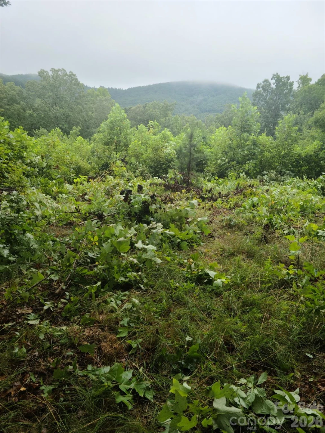 0 Osprey Lane - Photo 2