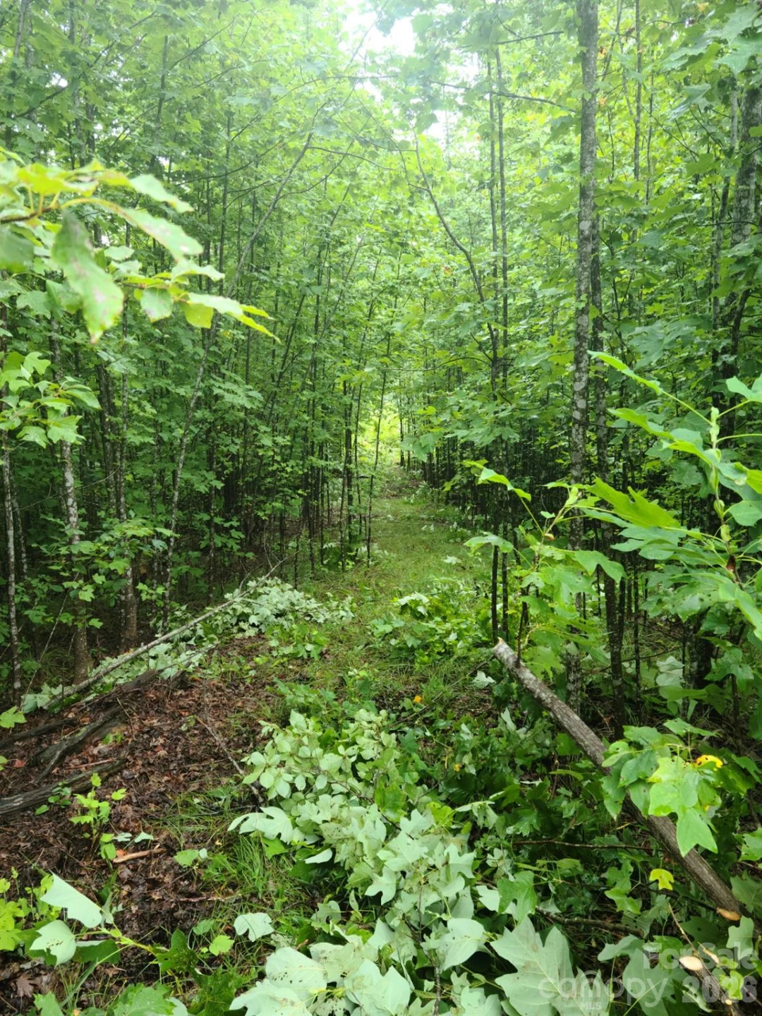 0 Osprey Lane - Photo 13