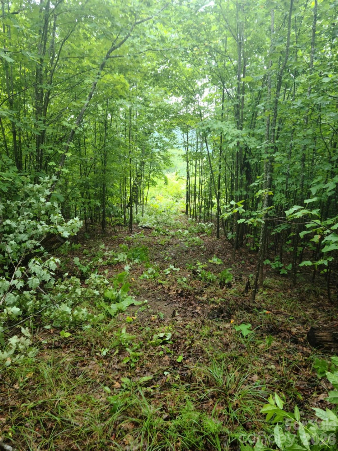 0 Osprey Lane - Photo 18
