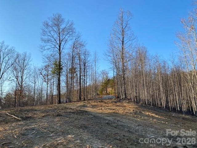 0 Osprey Lane - Photo 19