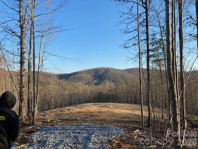 0 Osprey Lane - Photo 3