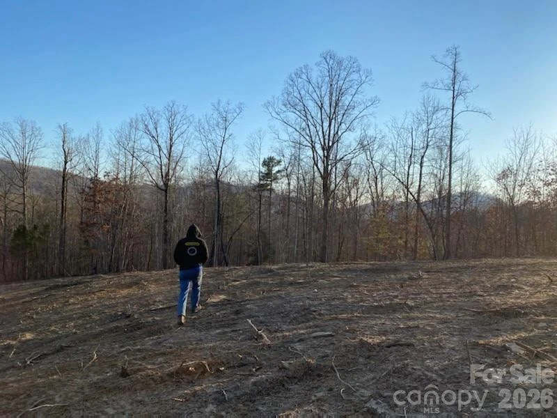 0 Osprey Lane - Photo 4