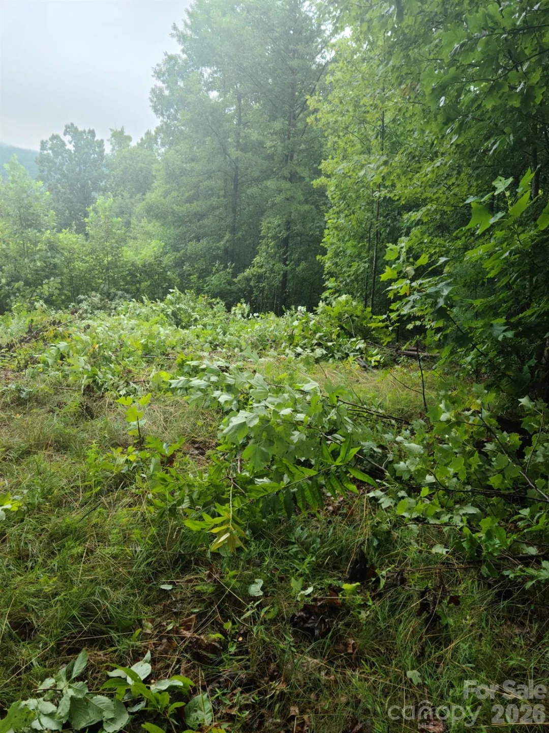 0 Osprey Lane - Photo 8