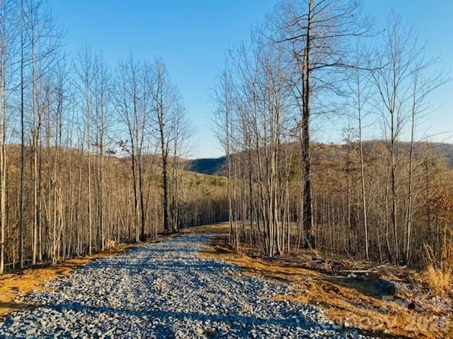 0 Osprey Lane - Photo 10