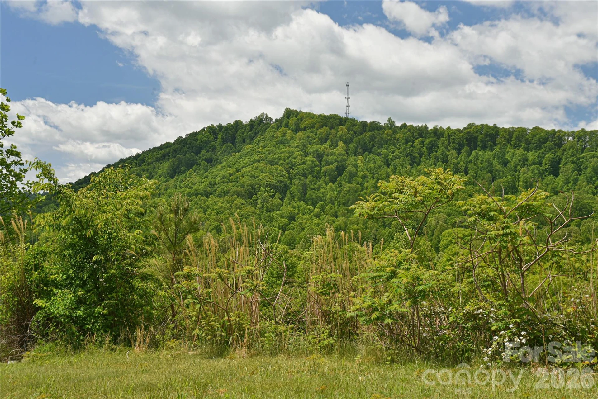 116 Kay Road - Photo 32