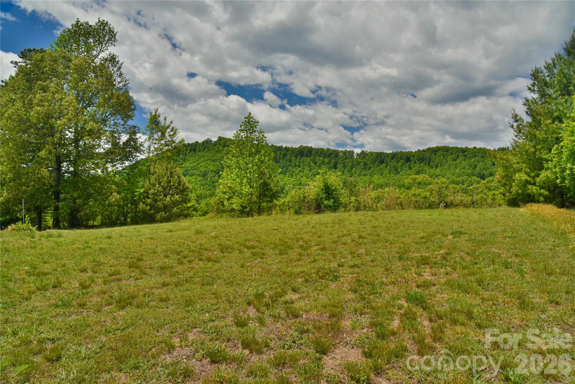 116 Kay Road - Photo 5