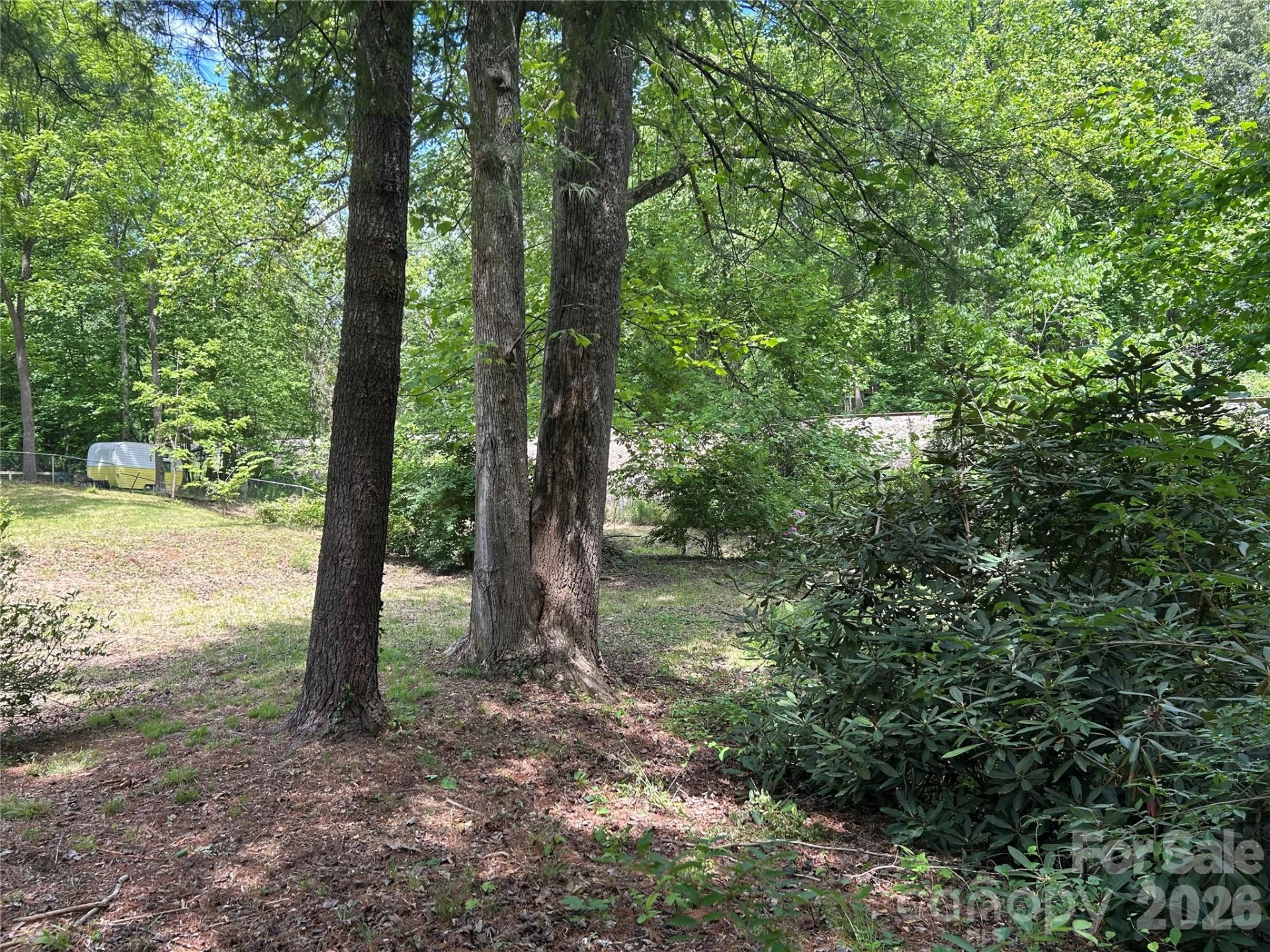 28 Pinecrest Drive - Photo 11