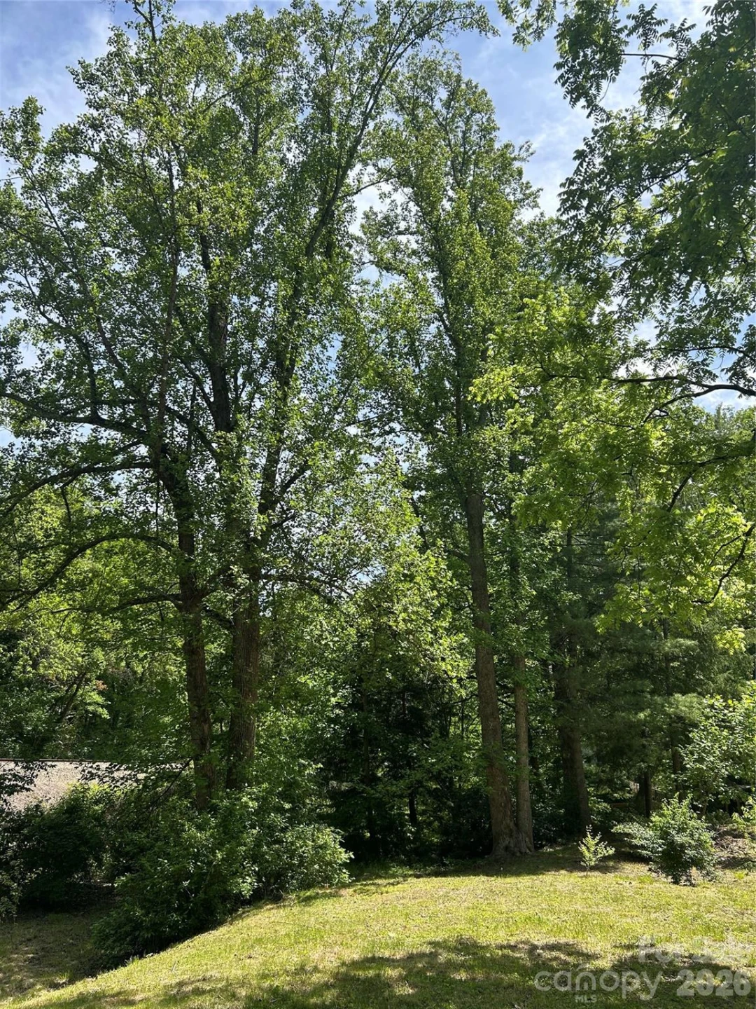 28 Pinecrest Drive - Photo 6