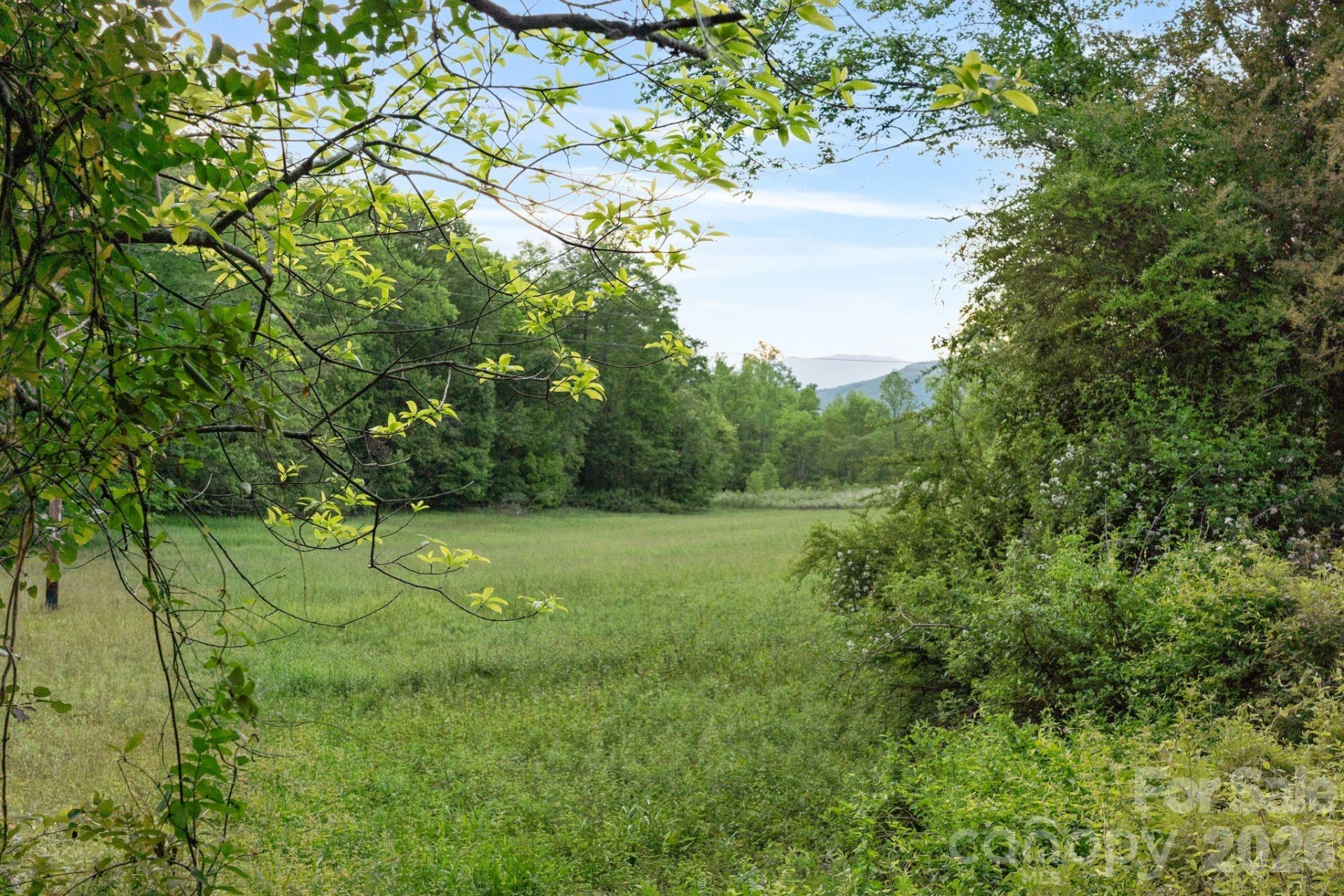415 Reel Hollow Road - Photo 31