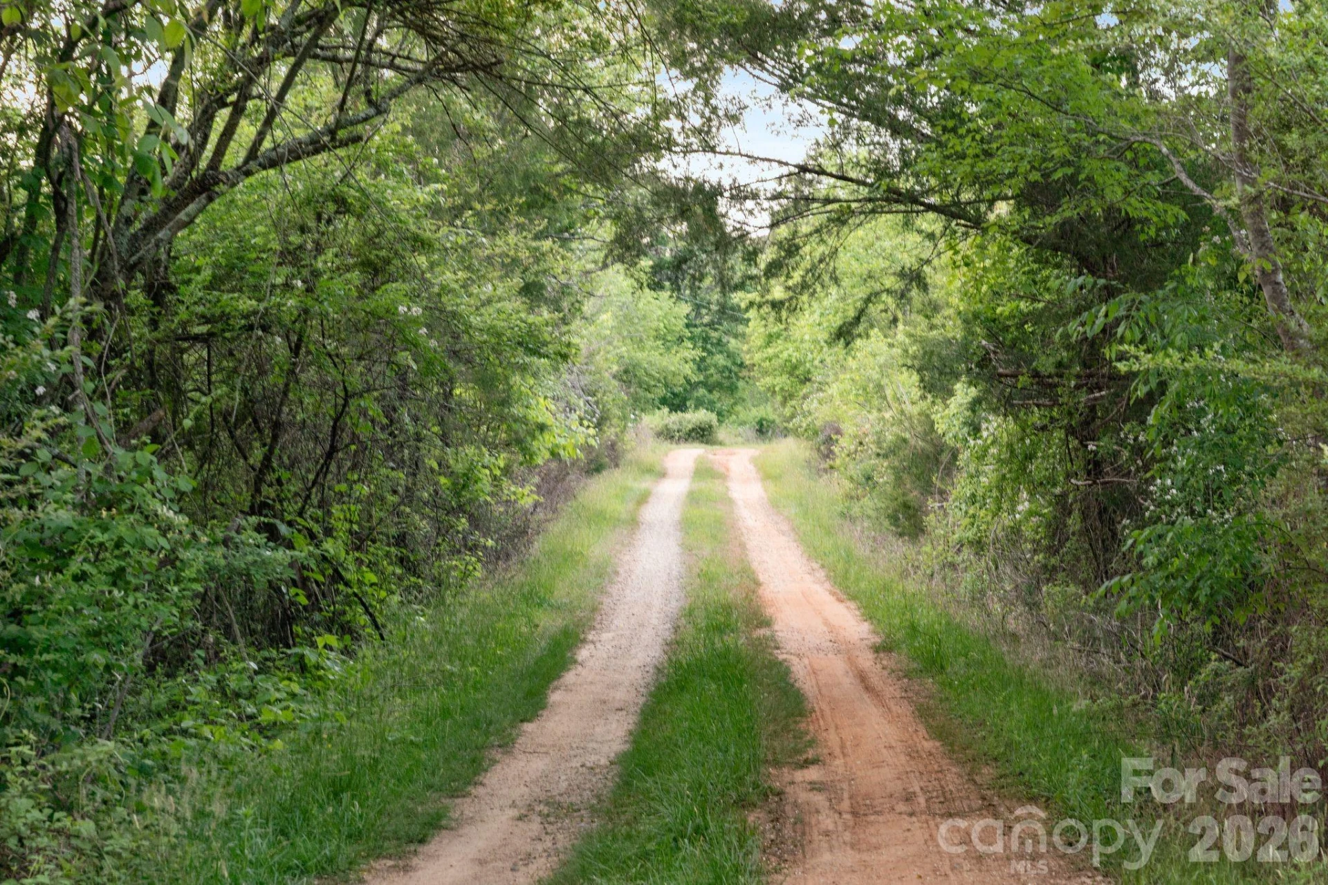 415 Reel Hollow Road - Photo 32