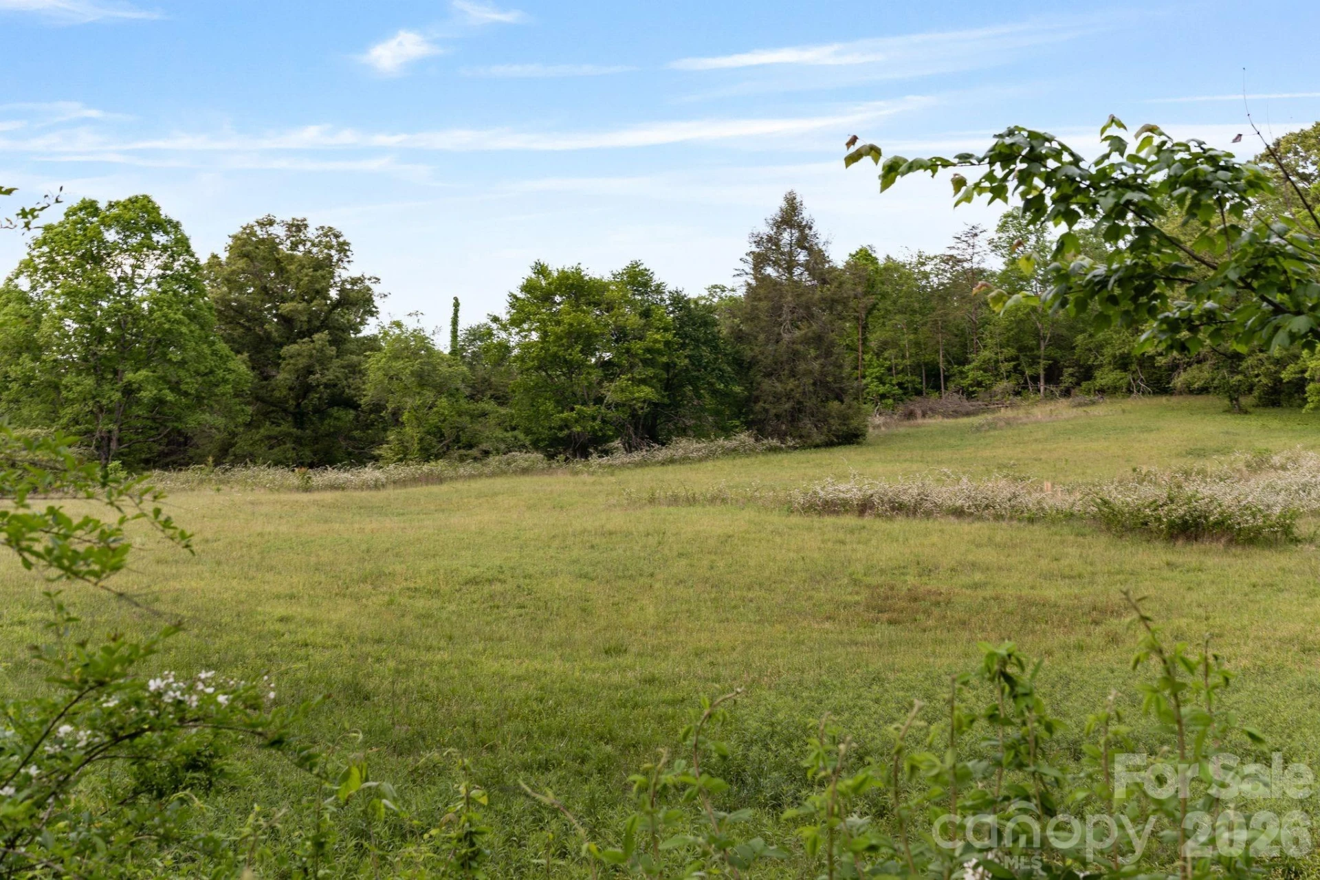 415 Reel Hollow Road - Photo 33
