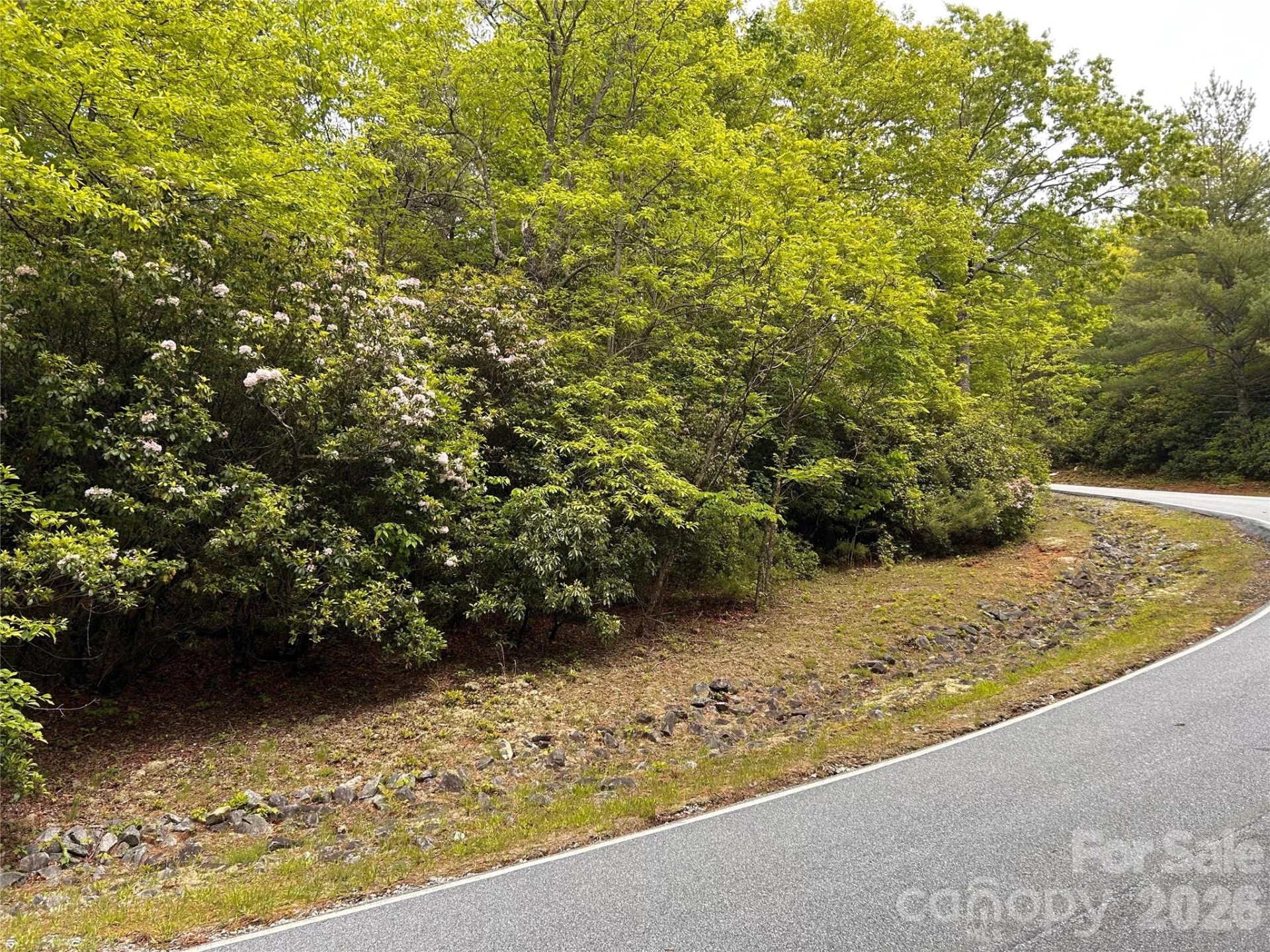1054 Hawk Mountain Road - Photo 2