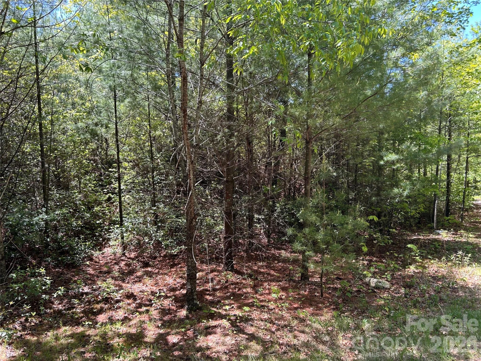 1054 Hawk Mountain Road - Photo 11