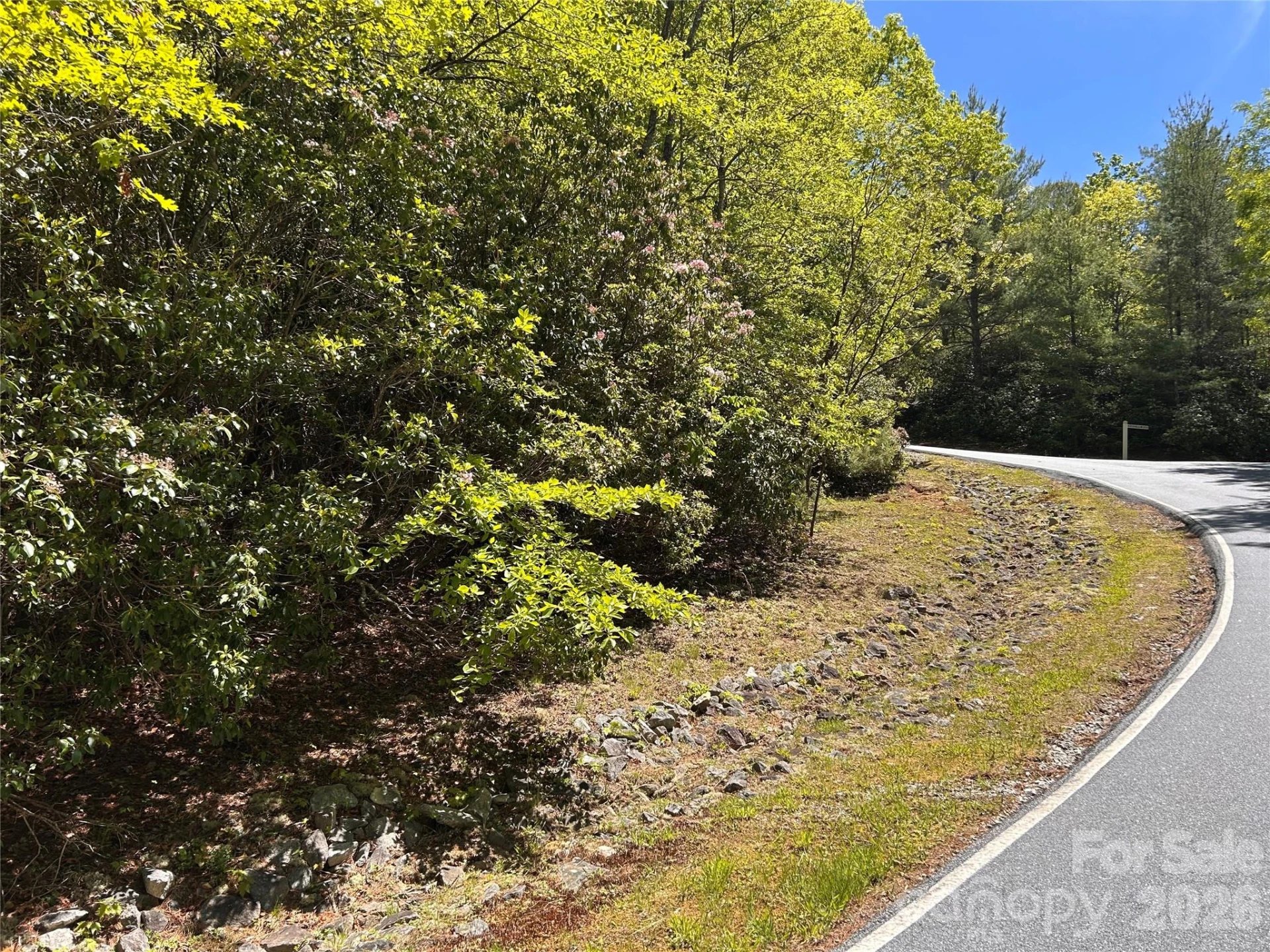 1054 Hawk Mountain Road - Photo 13