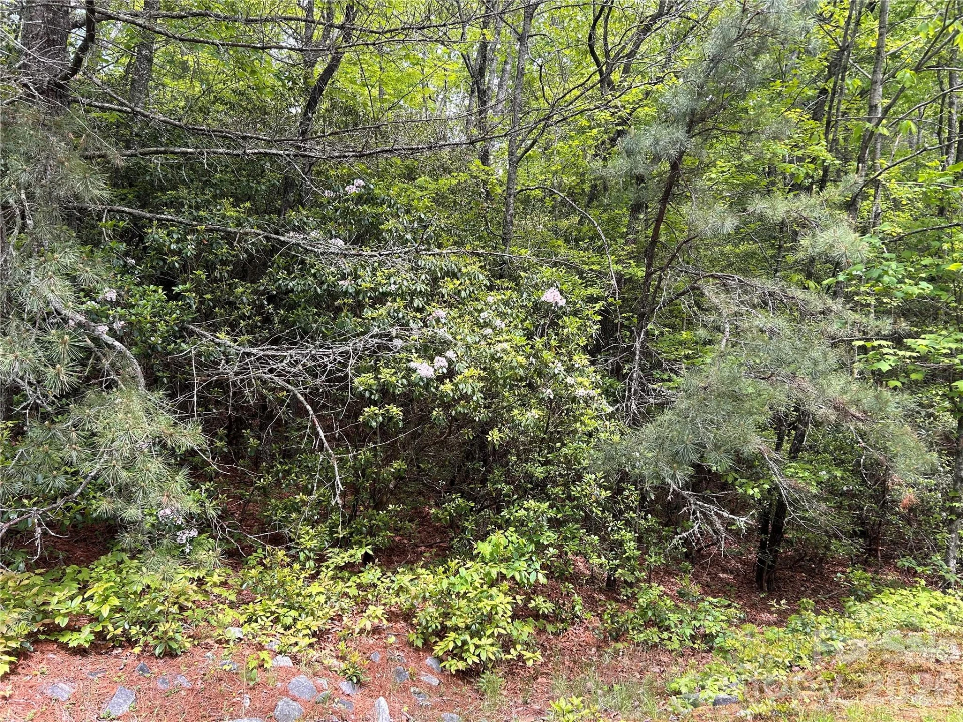 1054 Hawk Mountain Road - Photo 15