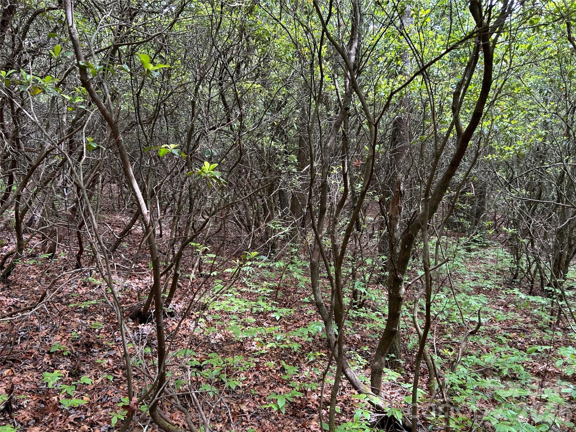 1054 Hawk Mountain Road - Photo 18