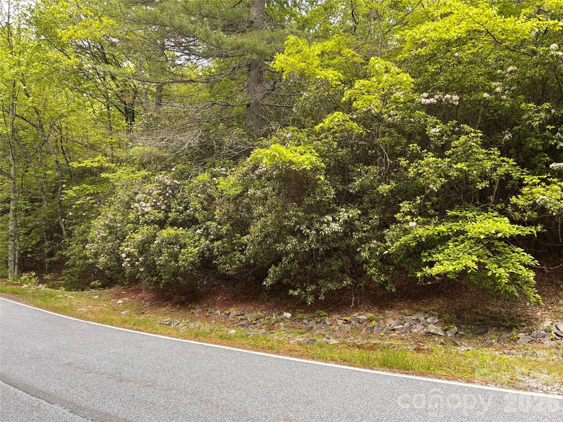 1054 Hawk Mountain Road - Photo 3