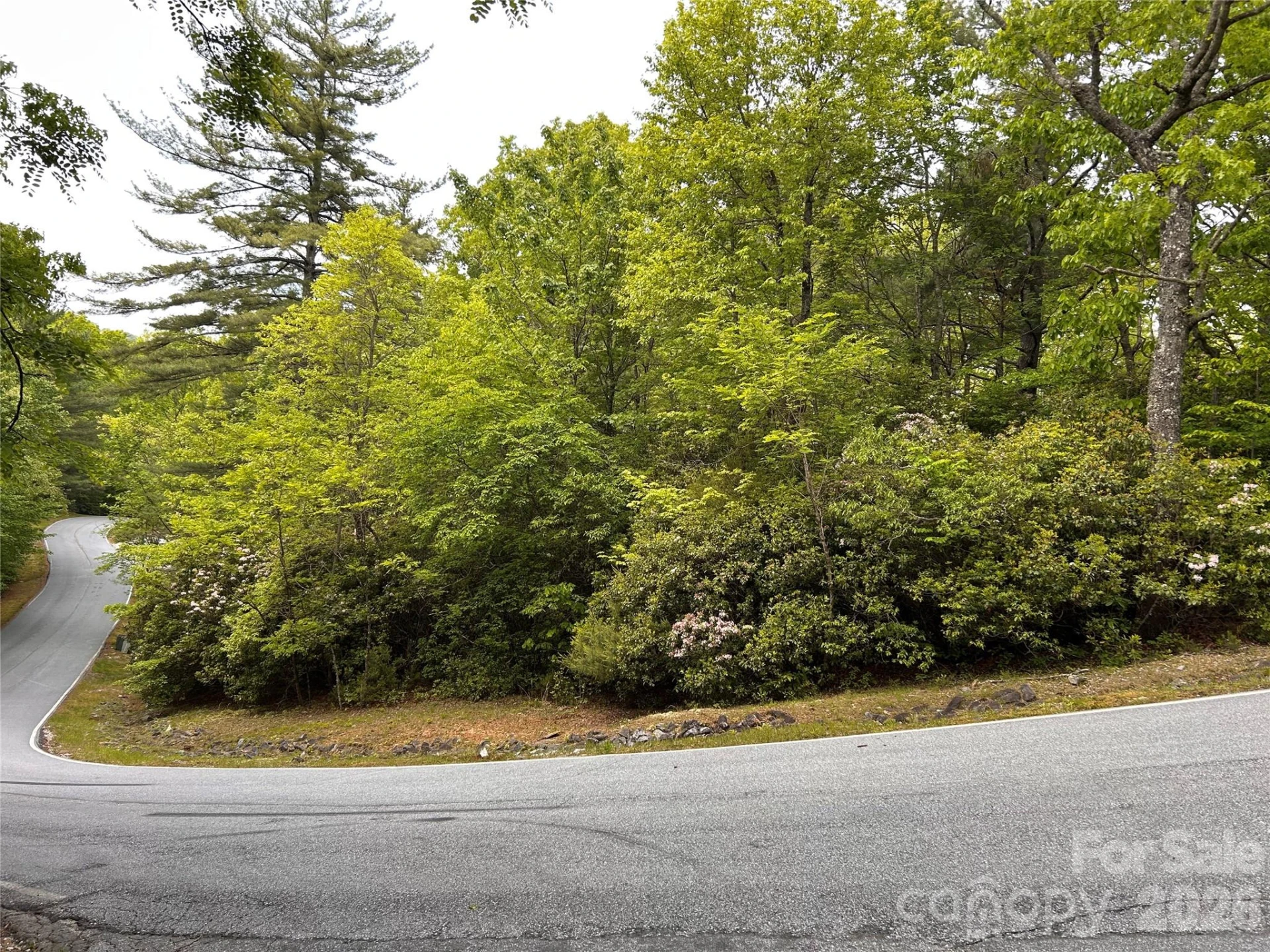 1054 Hawk Mountain Road - Photo 4