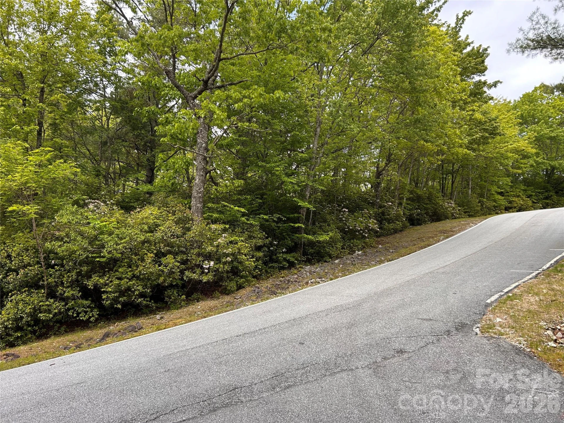 1054 Hawk Mountain Road - Photo 5