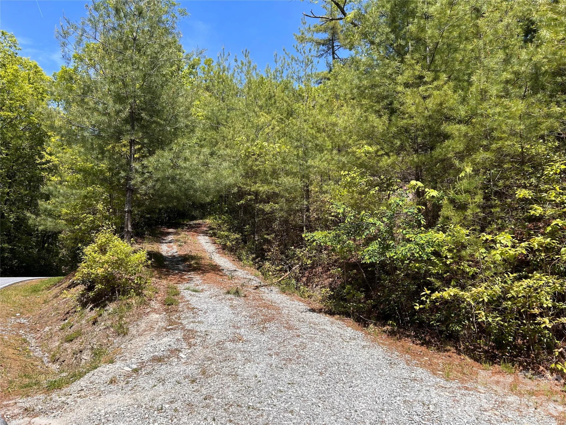 1054 Hawk Mountain Road - Photo 6
