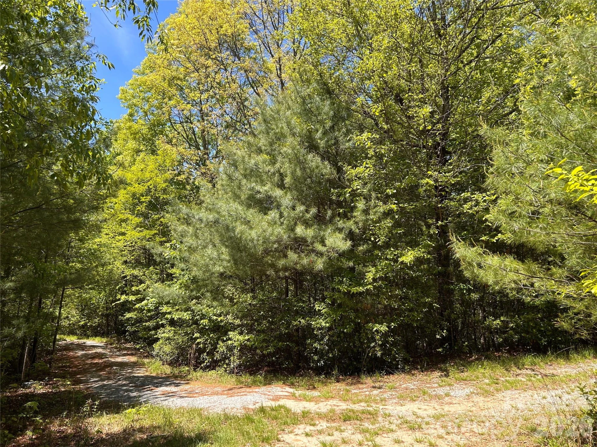 1054 Hawk Mountain Road - Photo 7