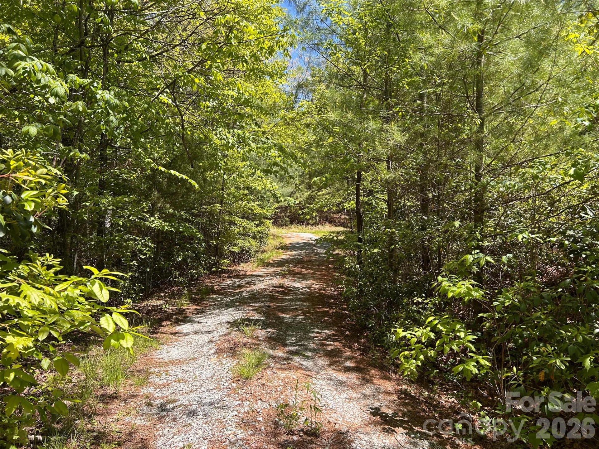 1054 Hawk Mountain Road - Photo 8