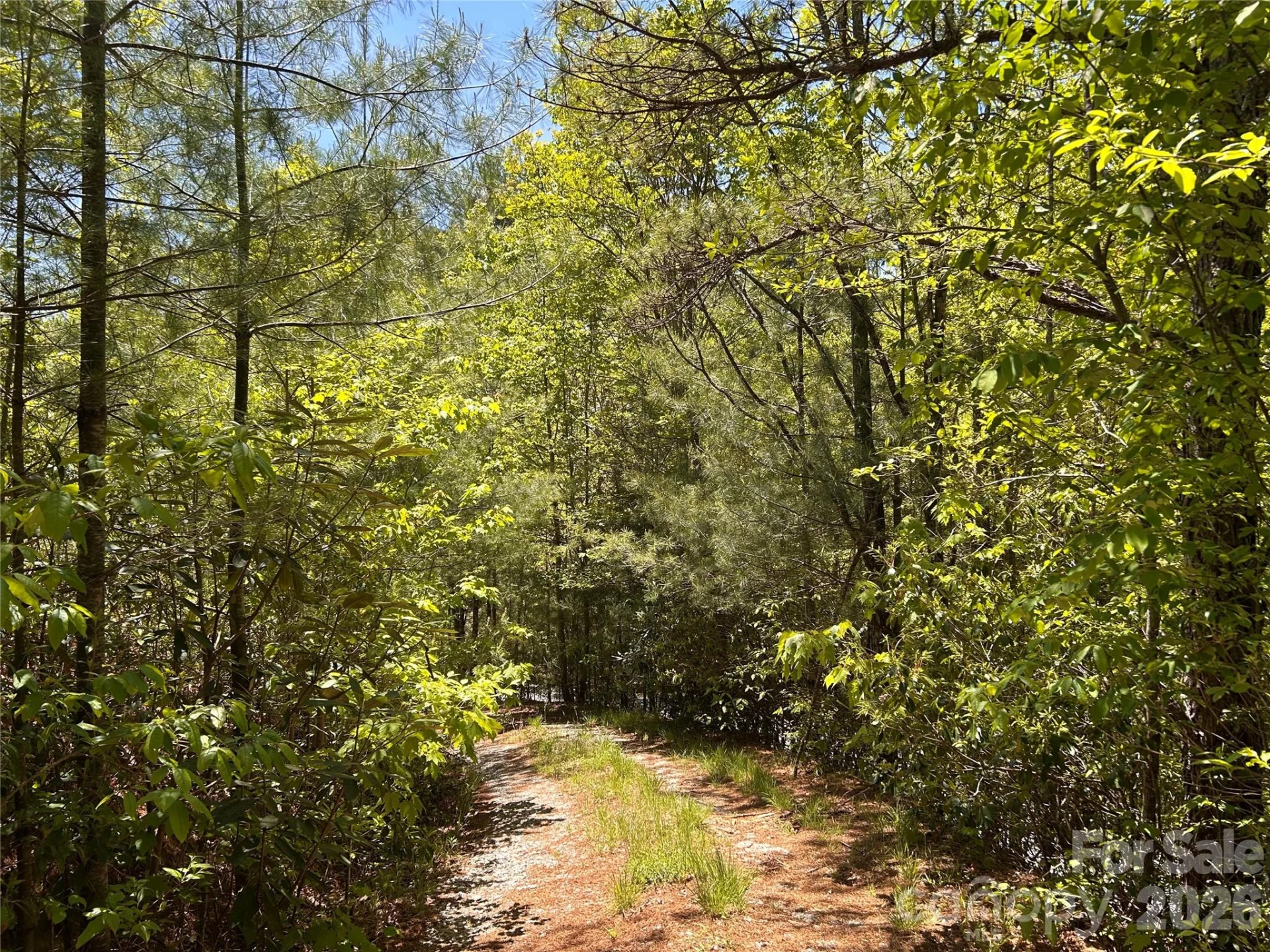 1054 Hawk Mountain Road - Photo 9
