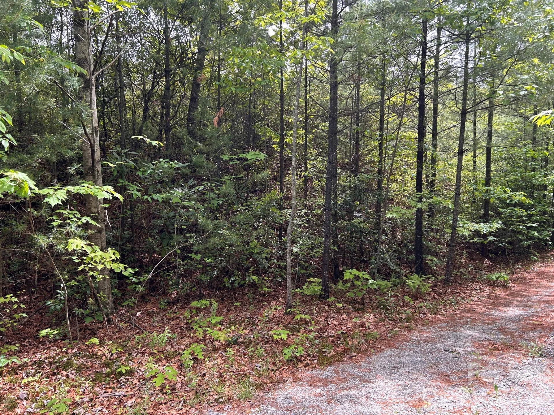 1054 Hawk Mountain Road - Photo 10
