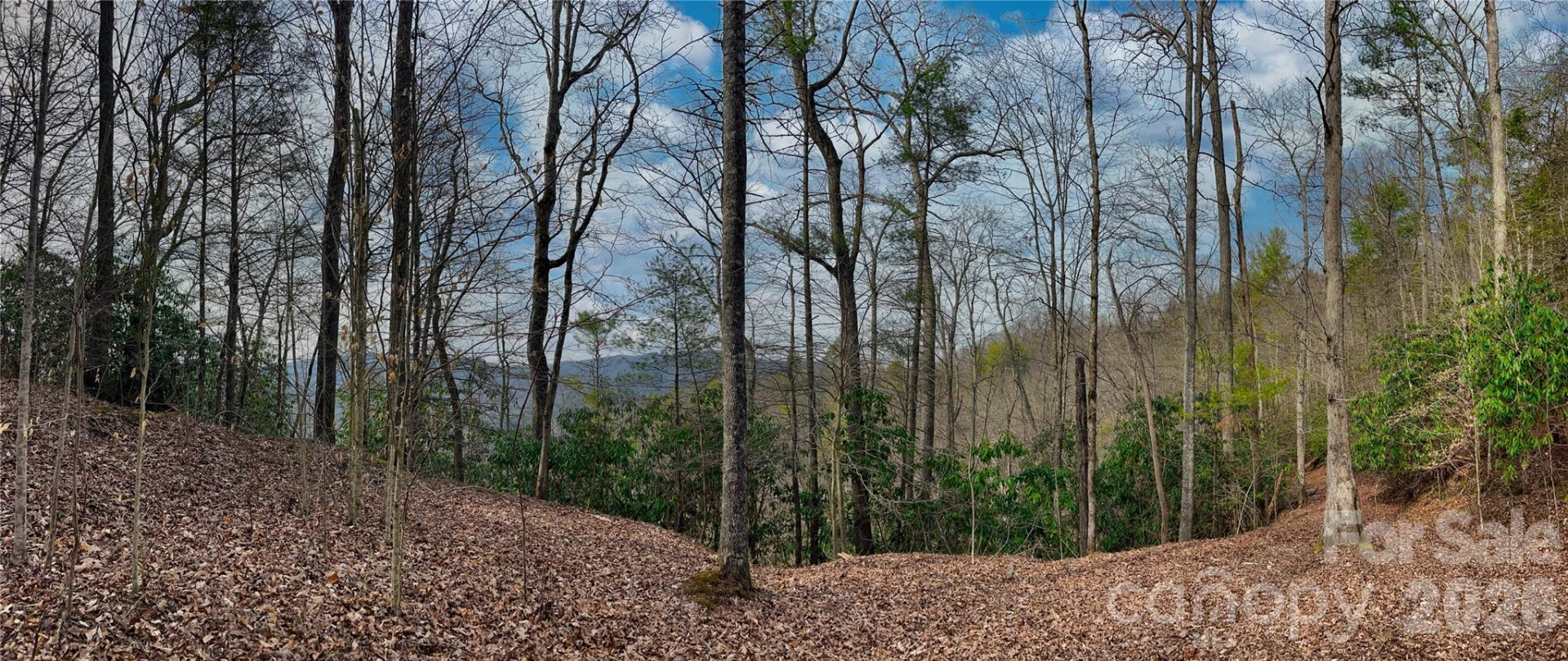 Lot 127 Bear River Lodge Trail
