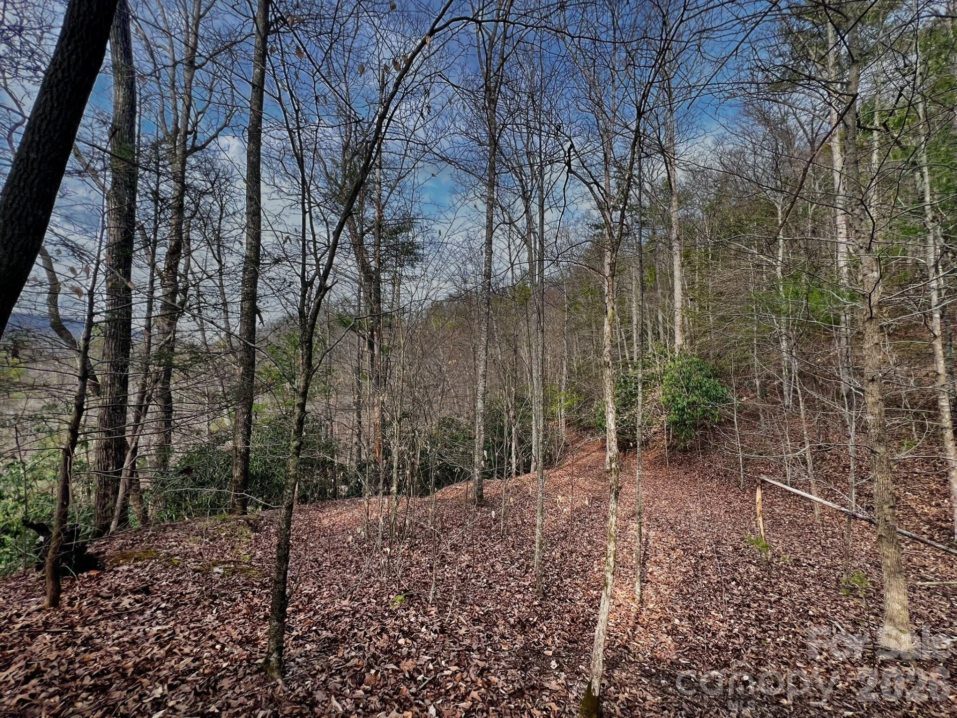 Lot 127 Bear River Lodge Trail - Photo 2
