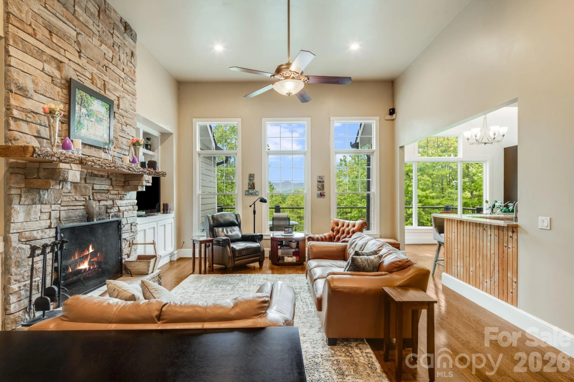 1659 High Rock Acres Drive - Photo 16