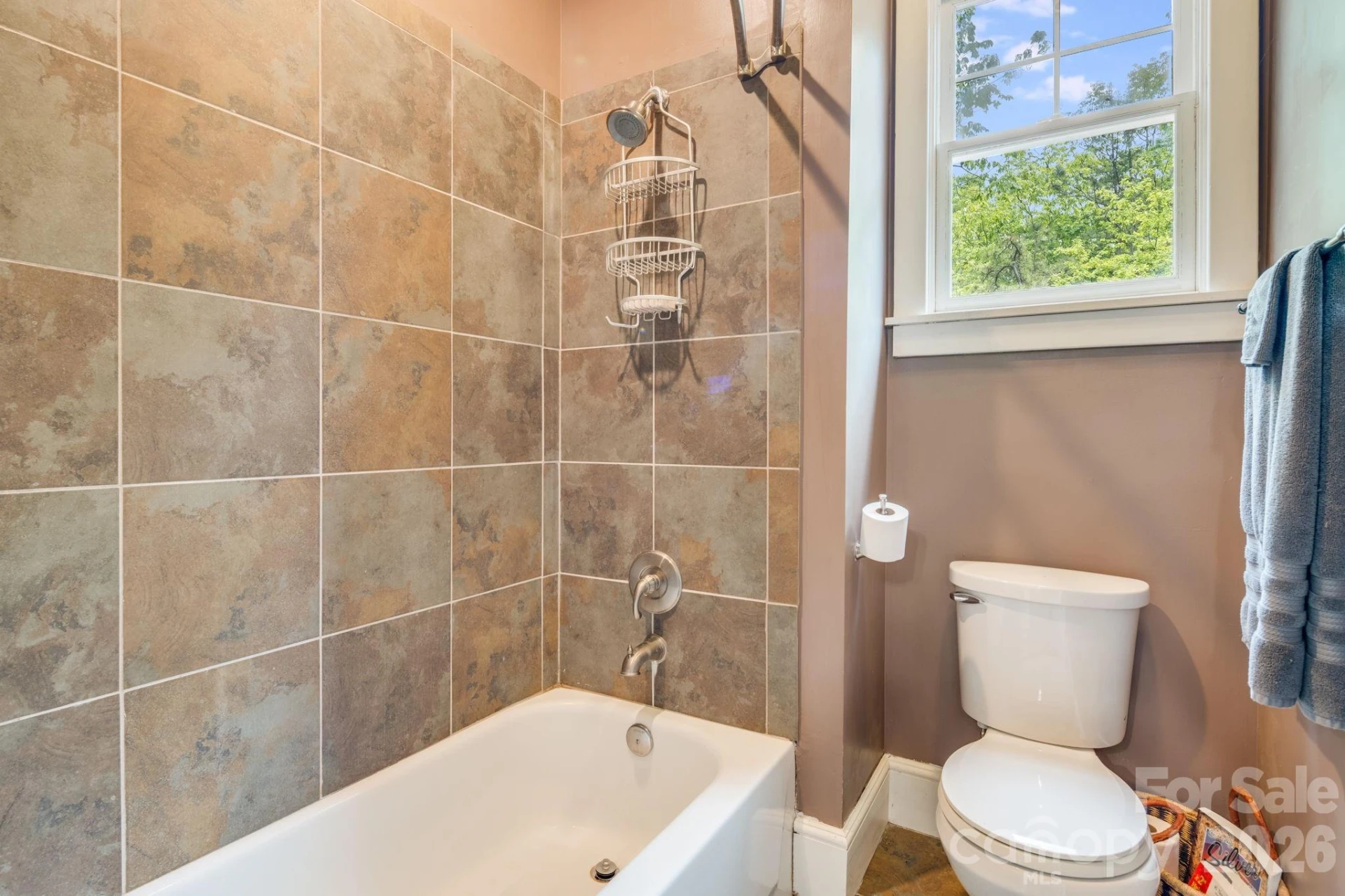 1659 High Rock Acres Drive - Photo 37