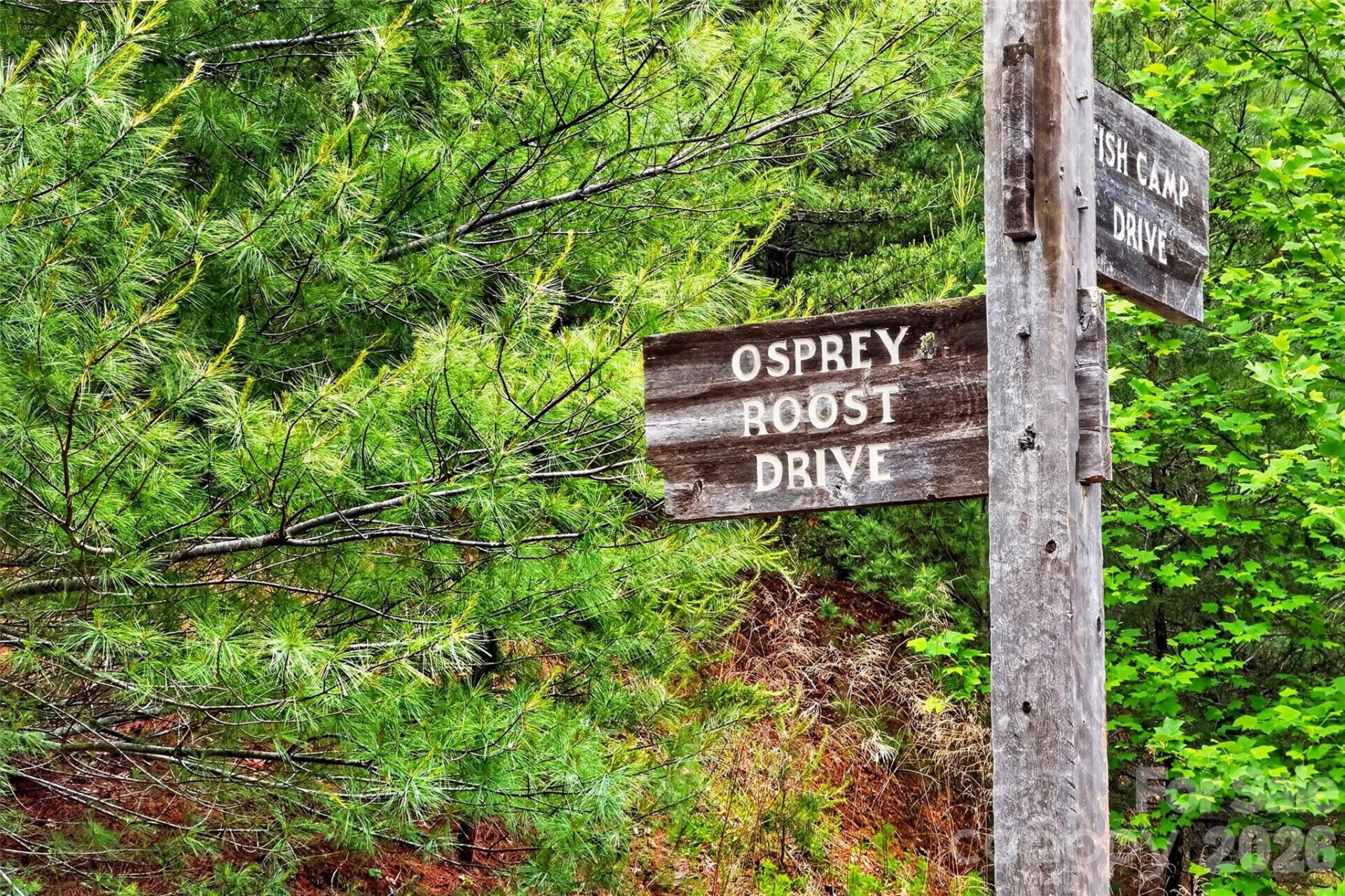 159 Osprey Roost Drive - Photo 37