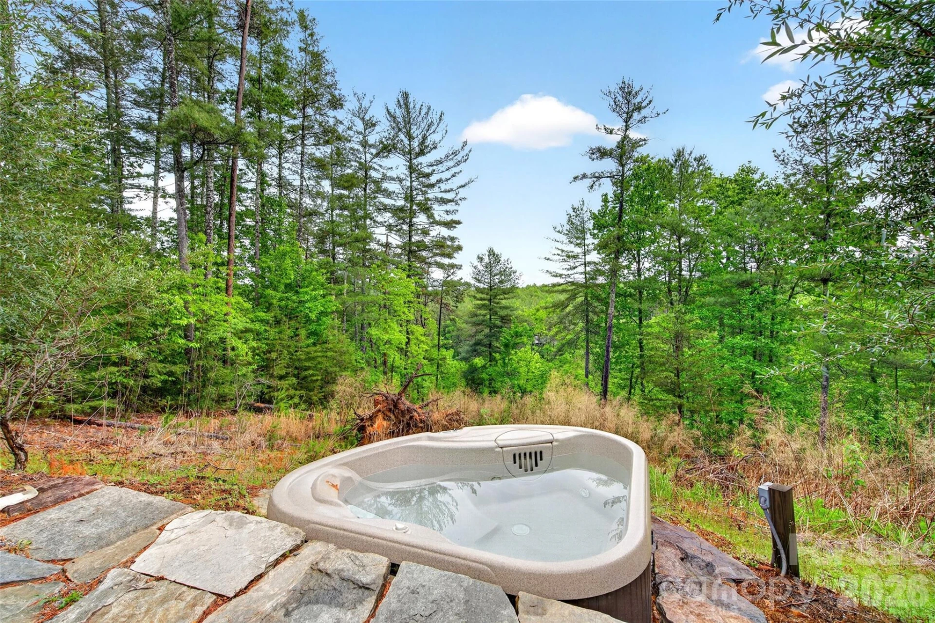 159 Osprey Roost Drive - Photo 6