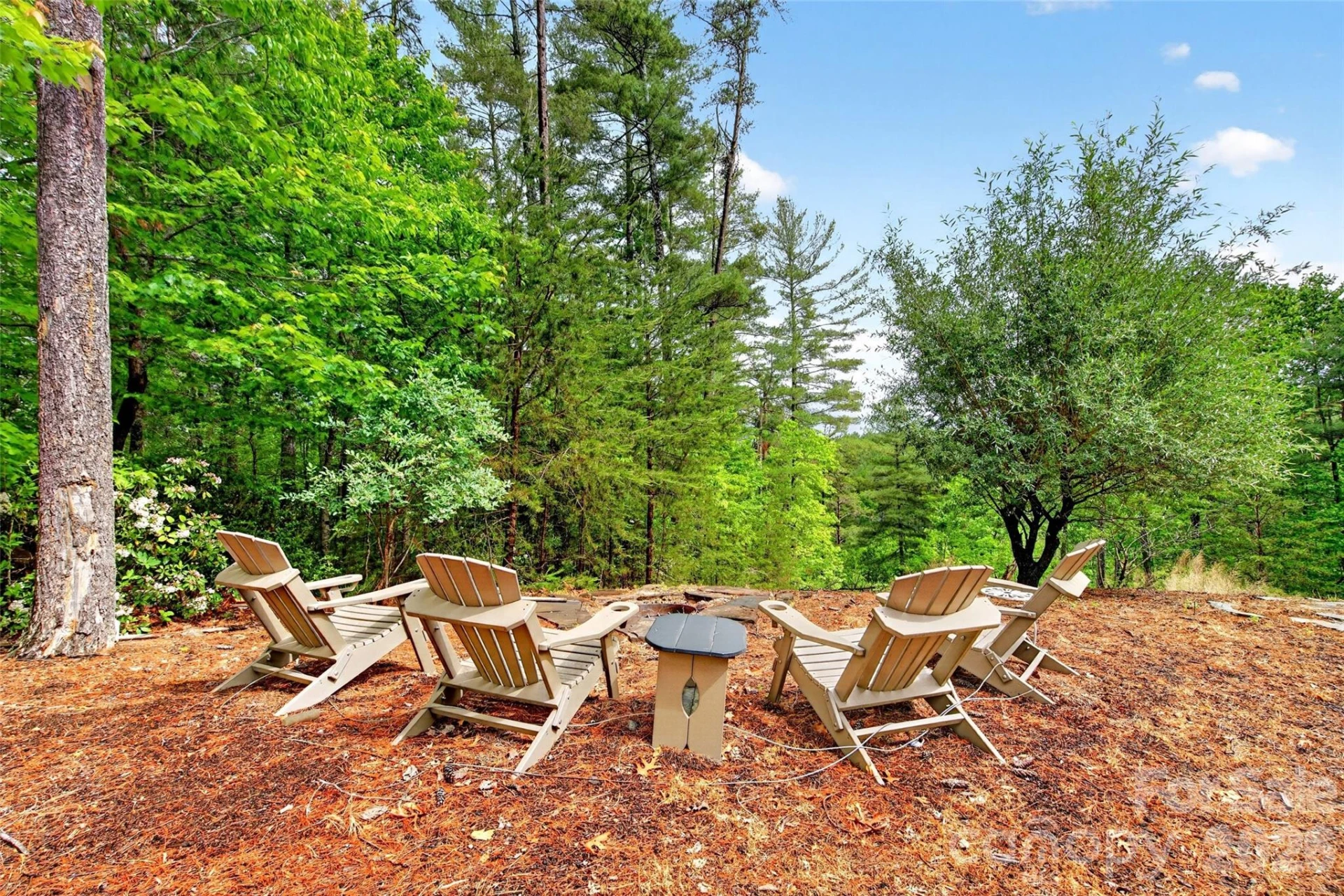 159 Osprey Roost Drive - Photo 7
