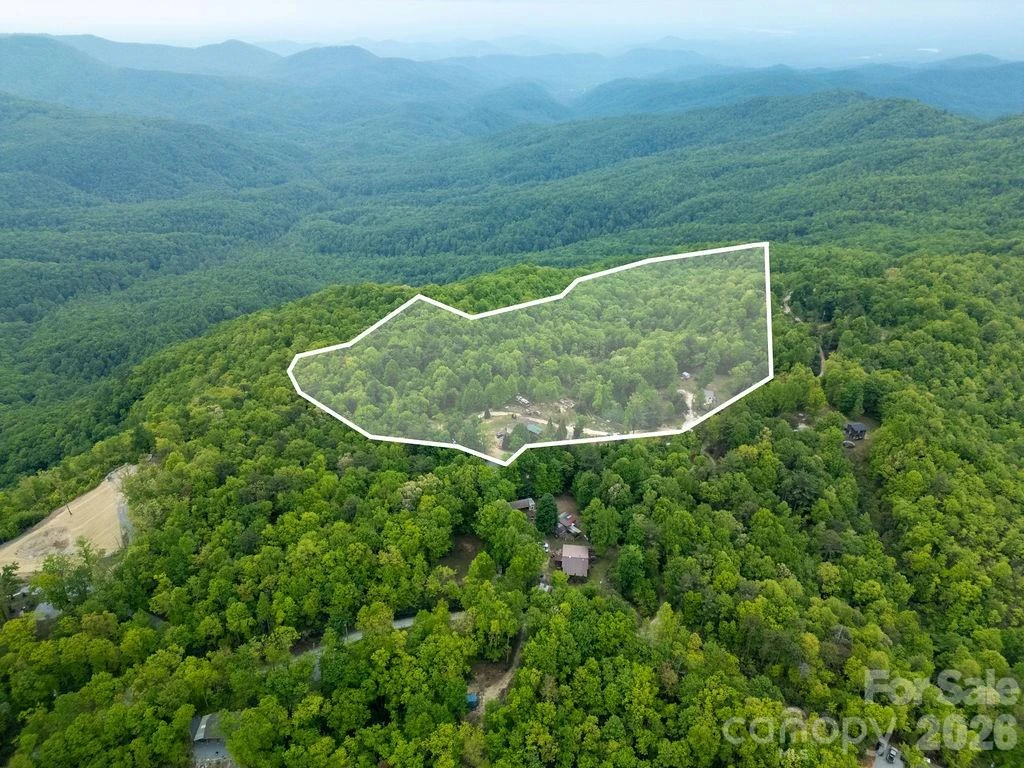111 Wild Hog Creek Road - Photo 3