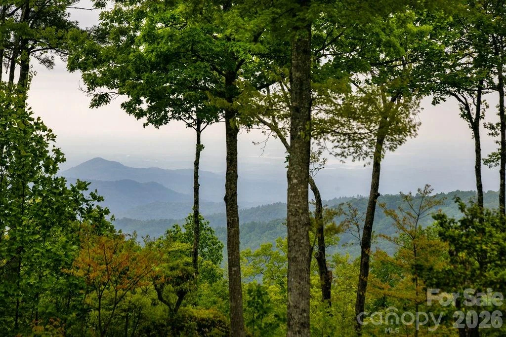 111 Wild Hog Creek Road - Photo 27