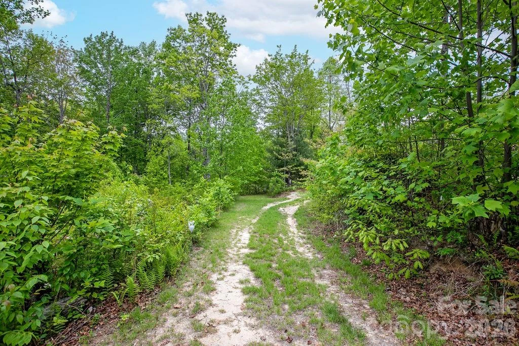 111 Wild Hog Creek Road - Photo 38