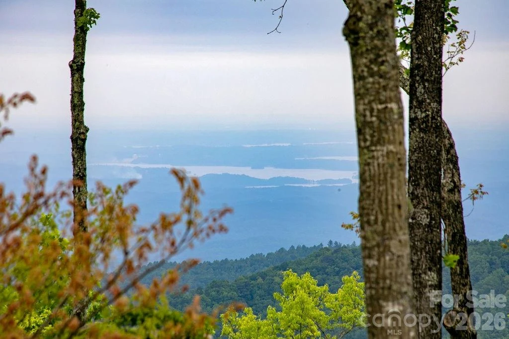 111 Wild Hog Creek Road - Photo 5