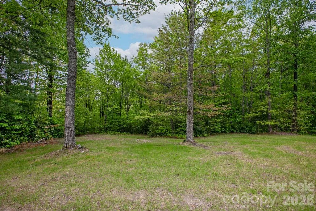 111 Wild Hog Creek Road - Photo 43