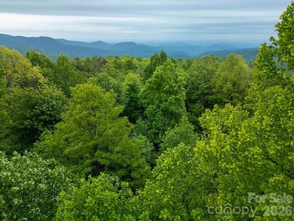 111 Wild Hog Creek Road - Photo 48