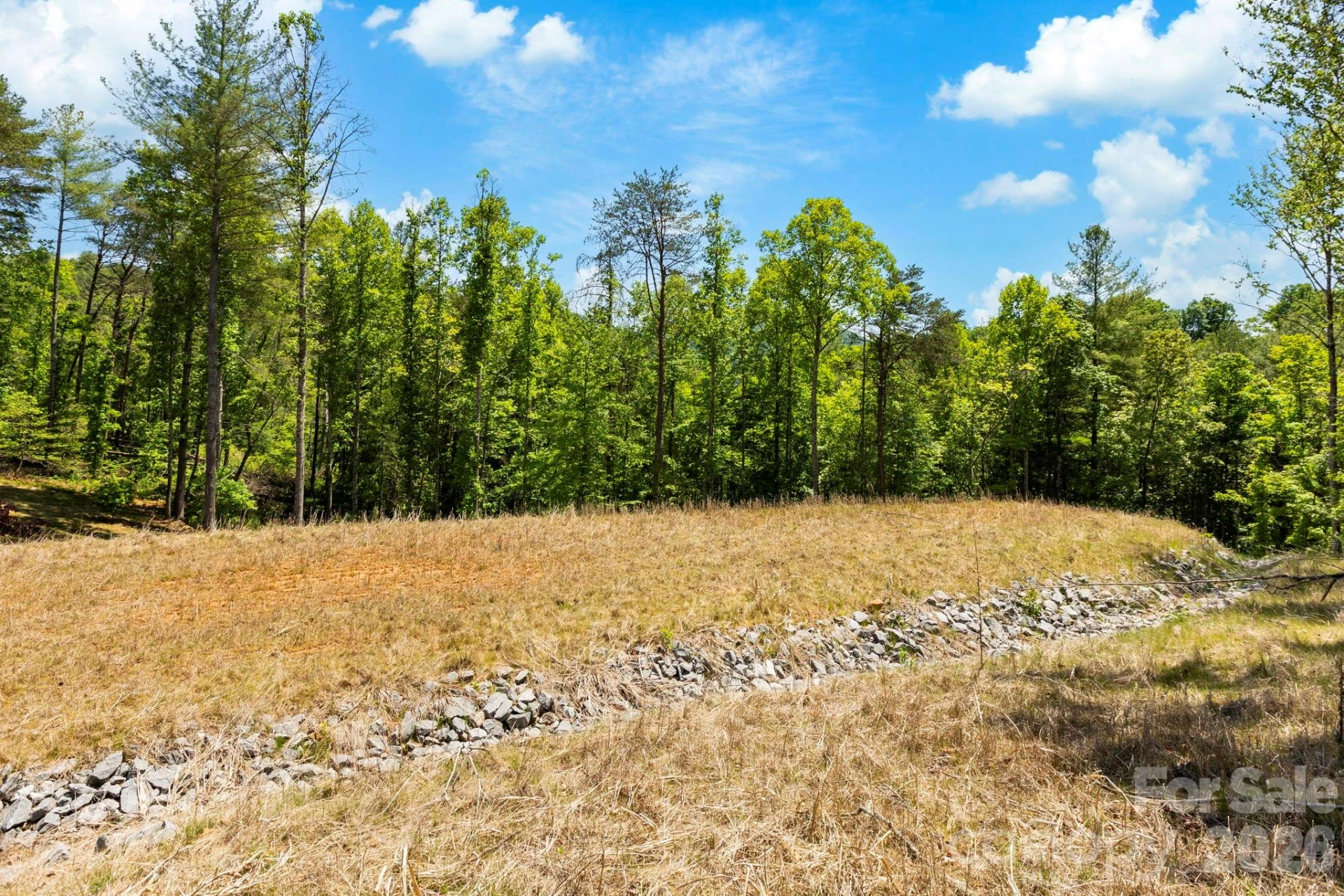 151 Riverbend Forest Drive - Photo 17