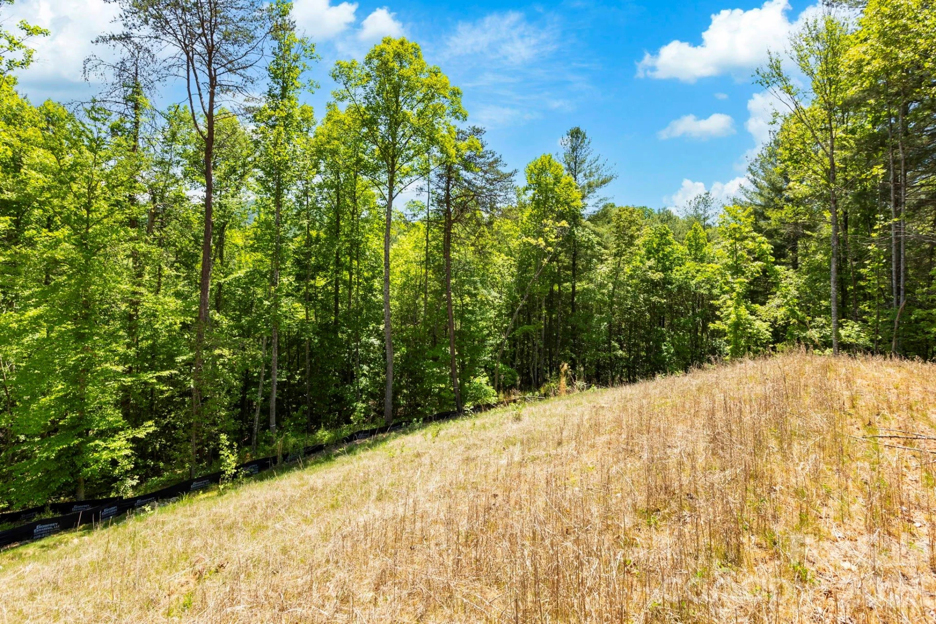 151 Riverbend Forest Drive - Photo 18